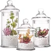 Glass Apothecary Jars with Lids, Set of 3