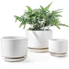 Ceramic Plant Pots with Drainage, Set of 3