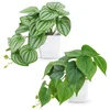 Small Faux Plants for Office Desk, Set of 2