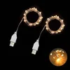 USB Warm Fairy String Lights, 2-Pack
