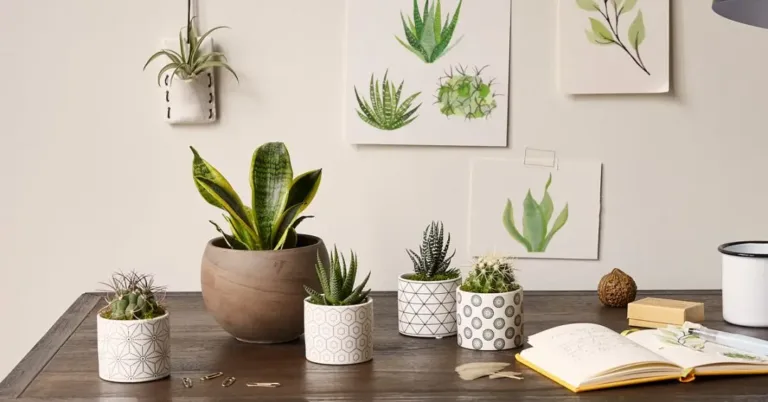 24 Green Office Aesthetic Ideas, No Paint Required