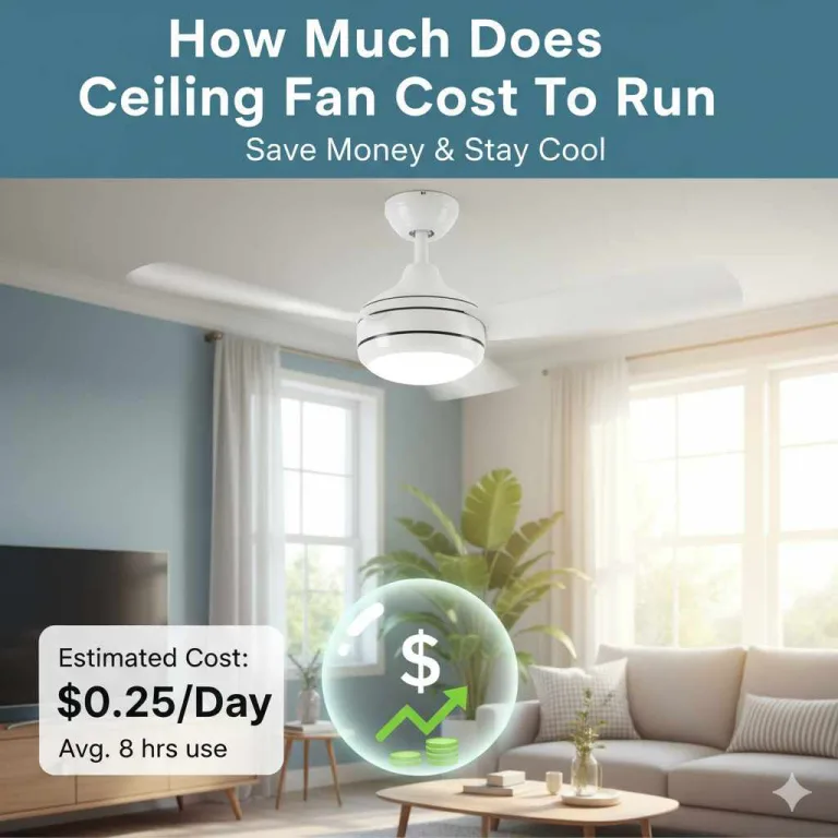 How Much Does a Ceiling Fan Cost To Run