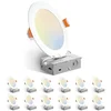 Amico 12-Pack 6
