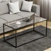Glass Coffee Table, Minimalist, Black Frame