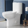 AKNIRL Elongated One-Piece Toilet 17.3