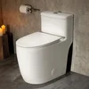 Casta Diva One-Piece Elongated Toilet 17.5