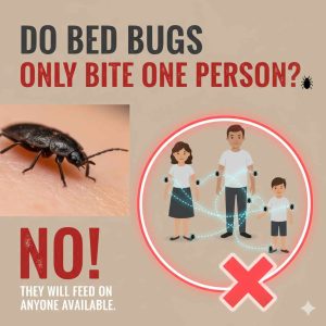 Bed Bugs Bite One Person Only