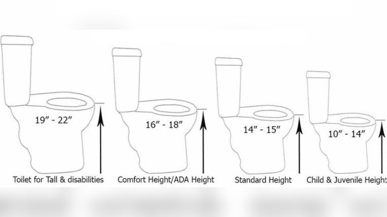 Chair Height vs Standard Toilet: Which Is Best for Your Bathroom?
