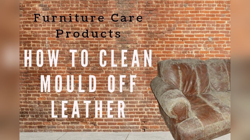 How to Clean Mold off Leather Sofa: Expert Tips for a Fresh Look