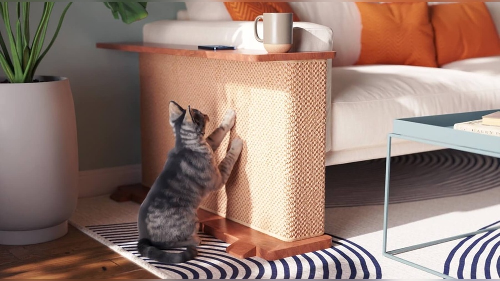 How to Protect Sofa from Cats: Effective Tips and Tricks