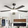 Passky 52 Inch Black Ceiling Fan with Light Remote Control
