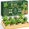 Indoor Herb Garden Starter Kit with Seeds and Tools