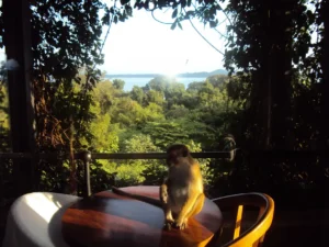 5 Best Balcony Tables for Two (2026): based on specs and reviews