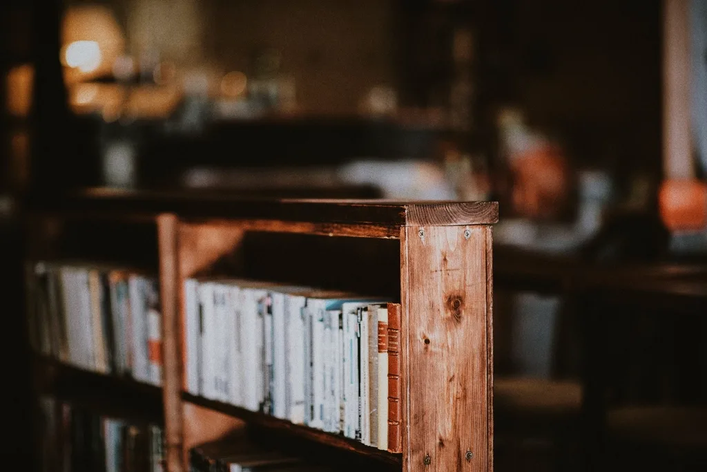 Close-up of thick shelf support and anti-tip strap on a heavy-duty bookcase