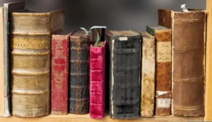 Best Bookshelf Ideas for Rental Homes That Fit Tight Spaces