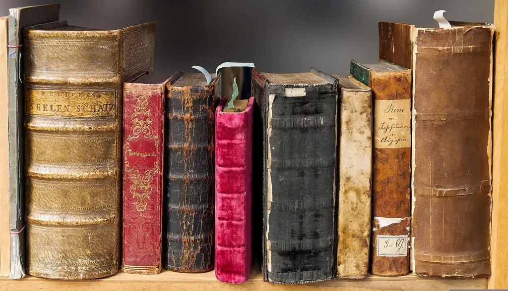 Best Bookshelf Ideas for Rental Homes That Fit Tight Spaces
