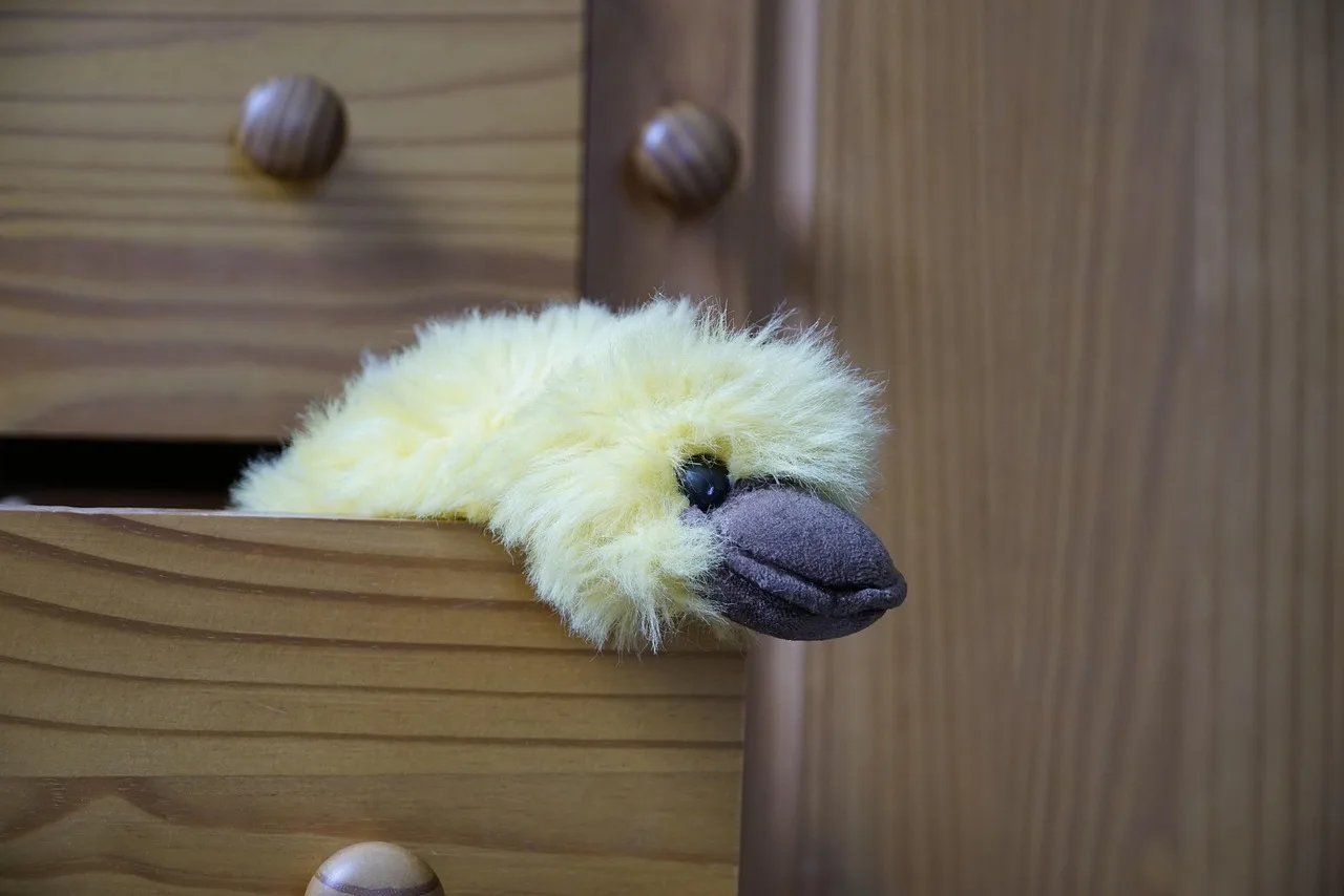 Dresser knobs, a measuring tape, and calipers arranged beside drawer fronts in natural light
