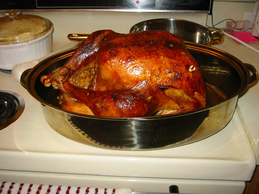 5 Best Roasting Pans for Turkey (2026): we compared