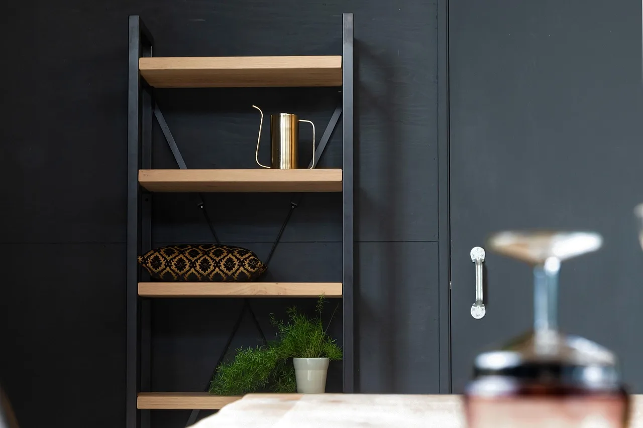 Cabinet spice shelf organizer: best for visible shelf access