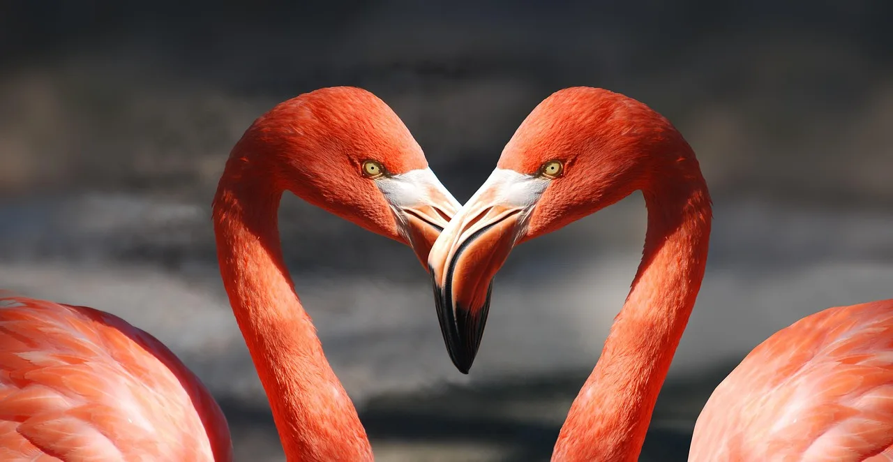 Best Valentine’s Day Dinner Recipes for Two (2026): we compared