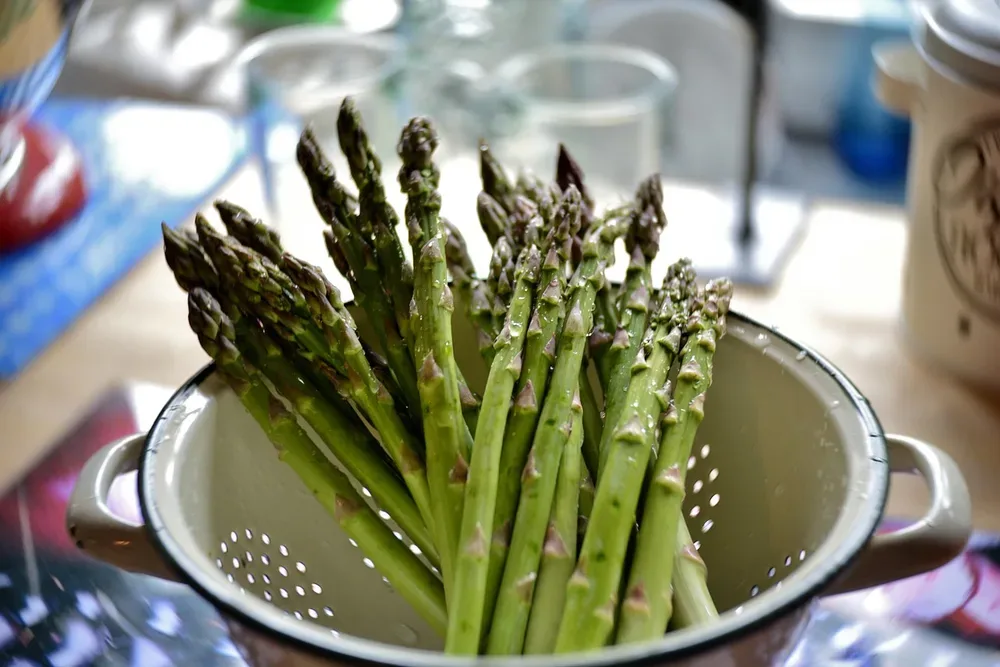 37+ Refreshing Green Kitchen Ideas