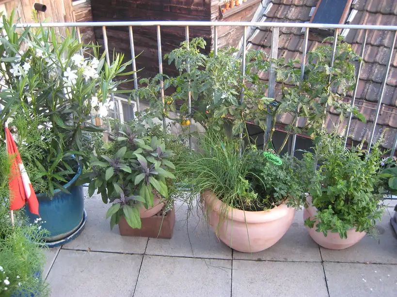 Hands checking soil moisture in a balcony potted plant beside an artificial plant.