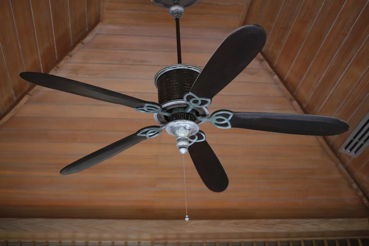 Verdict: which Bajaj ceiling fan is worth buying?