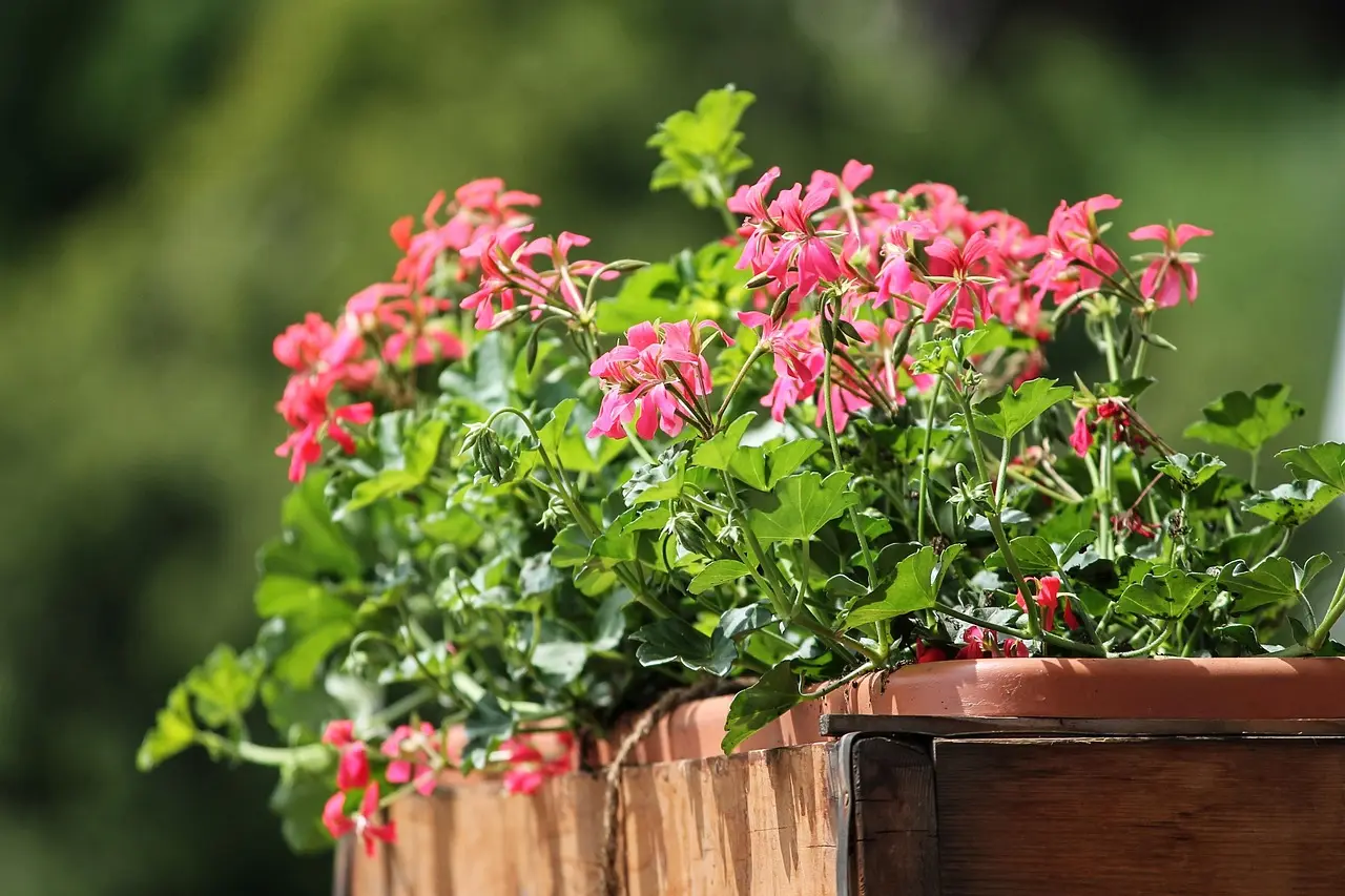 What size balcony planter box should I buy?