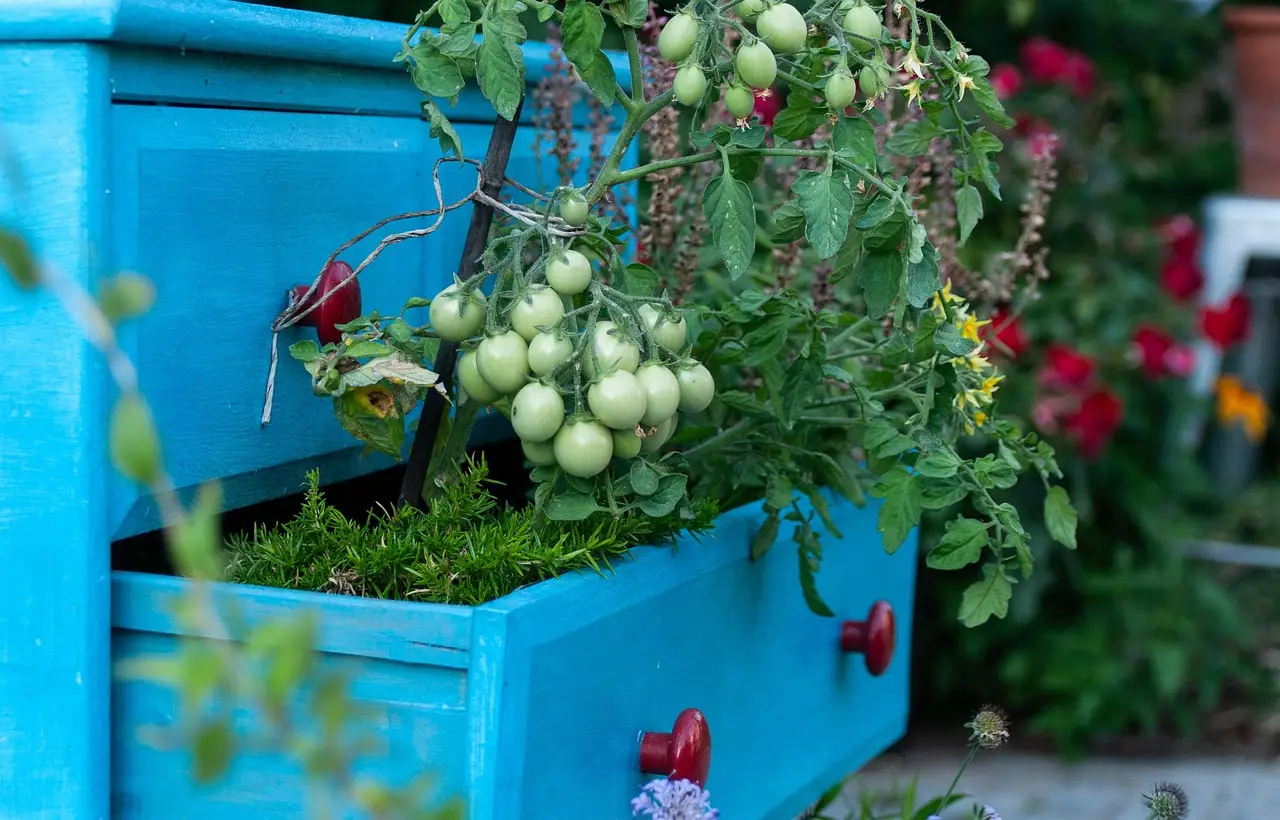 Balcony garden boxes vs rail planters: the real trade-off
