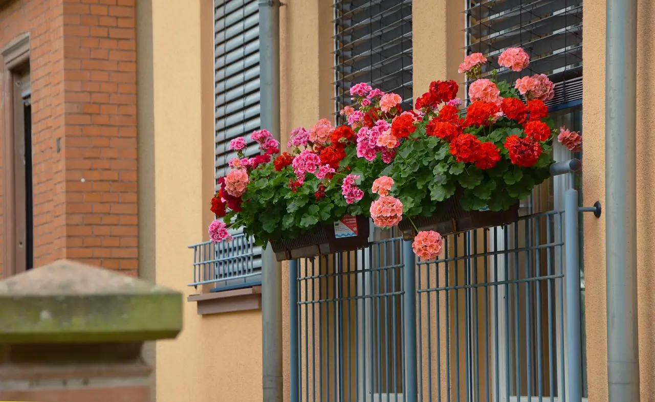 Balcony railing planter attached to a city balcony railing with herbs and flowers in natural light