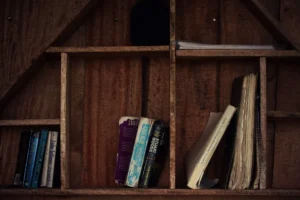 Best Bookshelf Ideas for Rustic Homes (2026): we compared