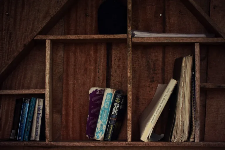 Rustic bookshelf in a bright living room with books, baskets, and pottery