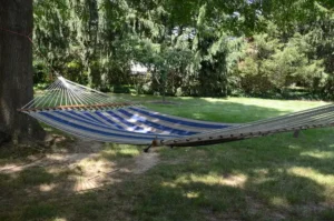 Best Bungee Cords for Patio Furniture (2026): we compared