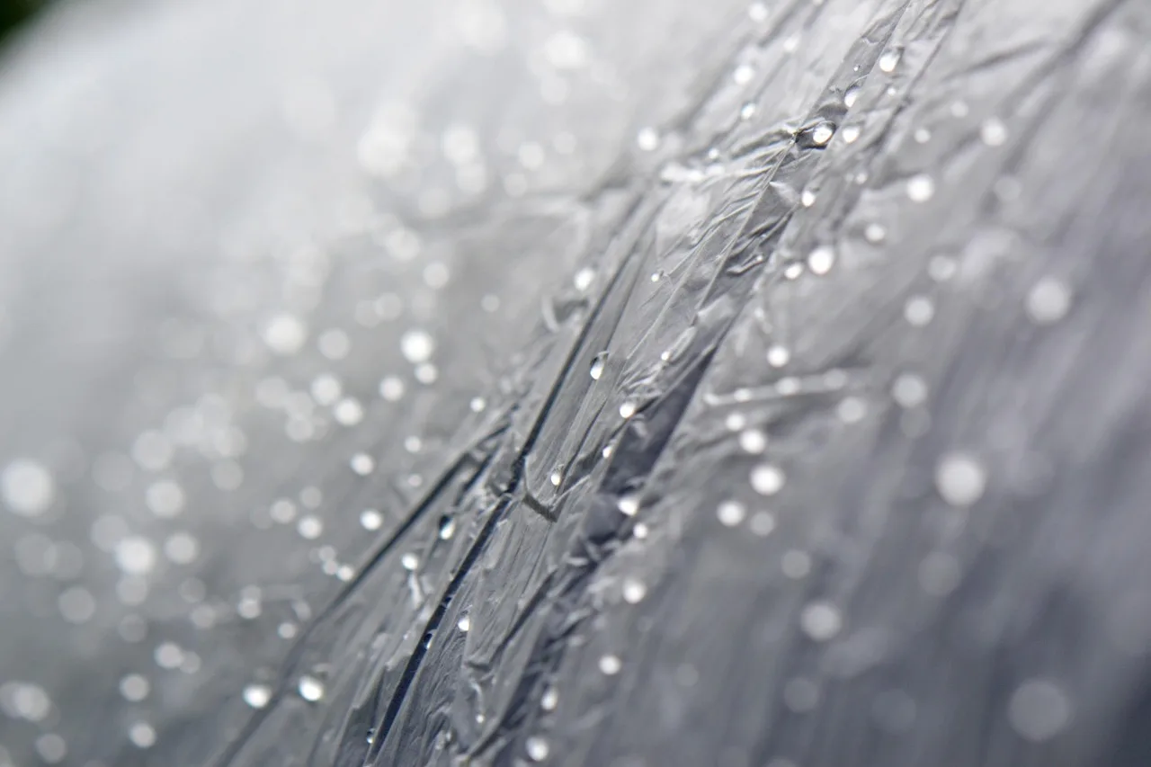 Best waterproof poly tarp: best for rain and short-term storage