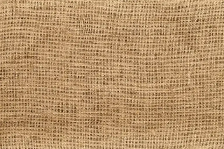 Pet-friendly living room with a sofa fabric protector, dog nearby, and cat on the armrest