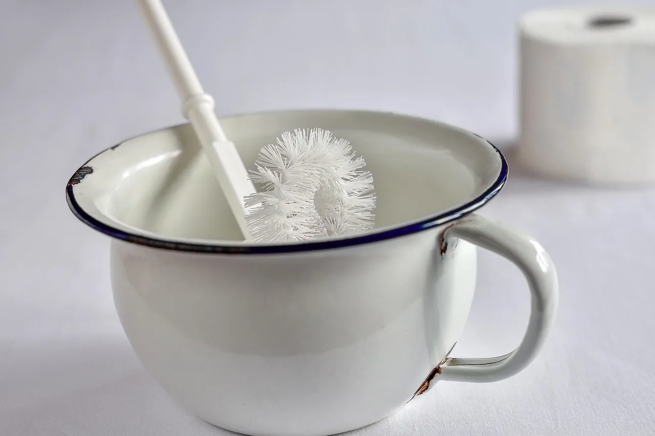 Disposable toilet brush system: best for low-contact cleaning