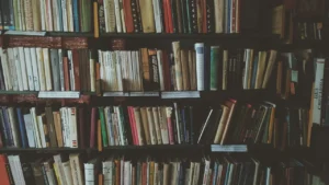 Better Homes & Gardens Bookshelf Review: Is It Worth It?