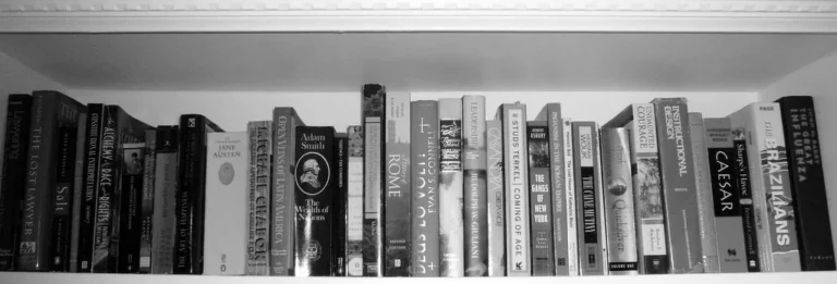 Bookshelf and ladder shelf side by side in a sunlit living room with books and decor