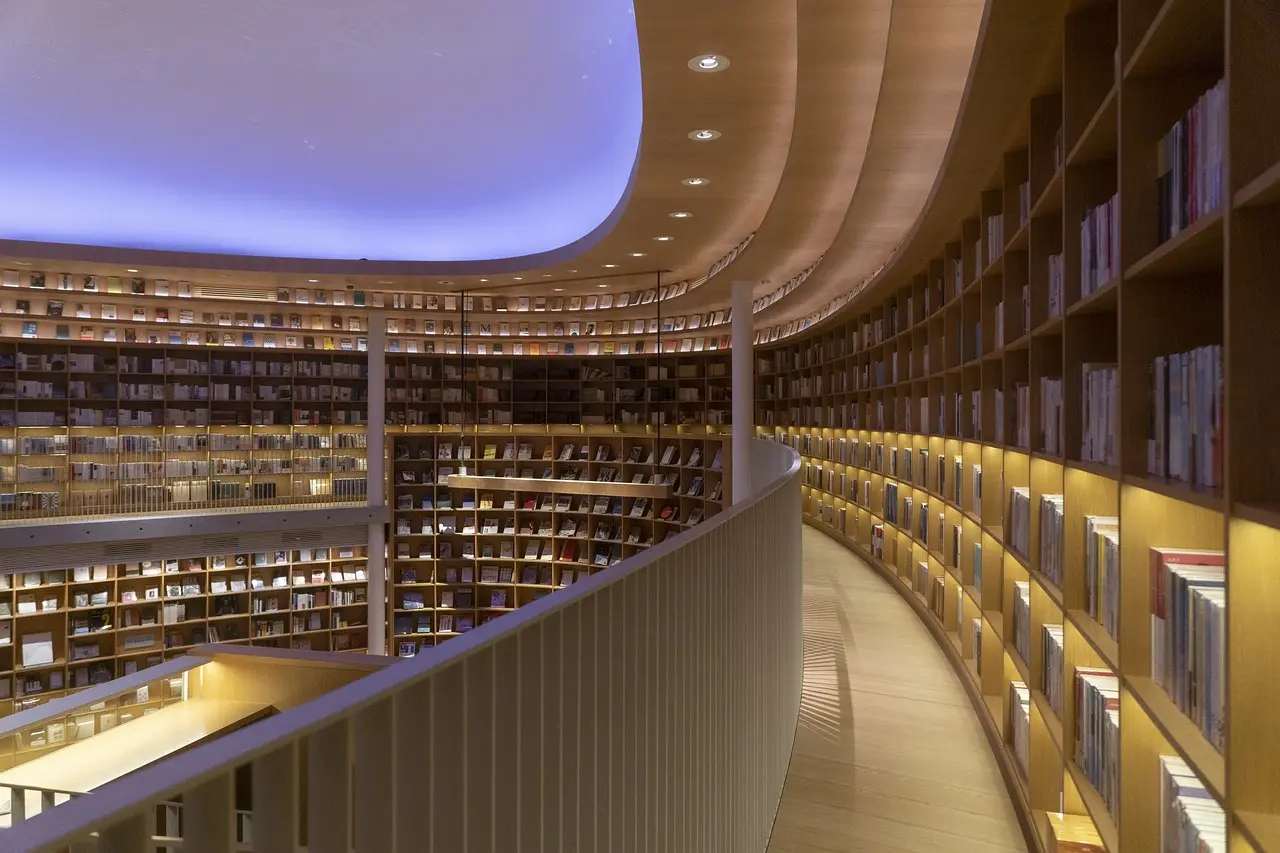 Can wall shelves hold books?