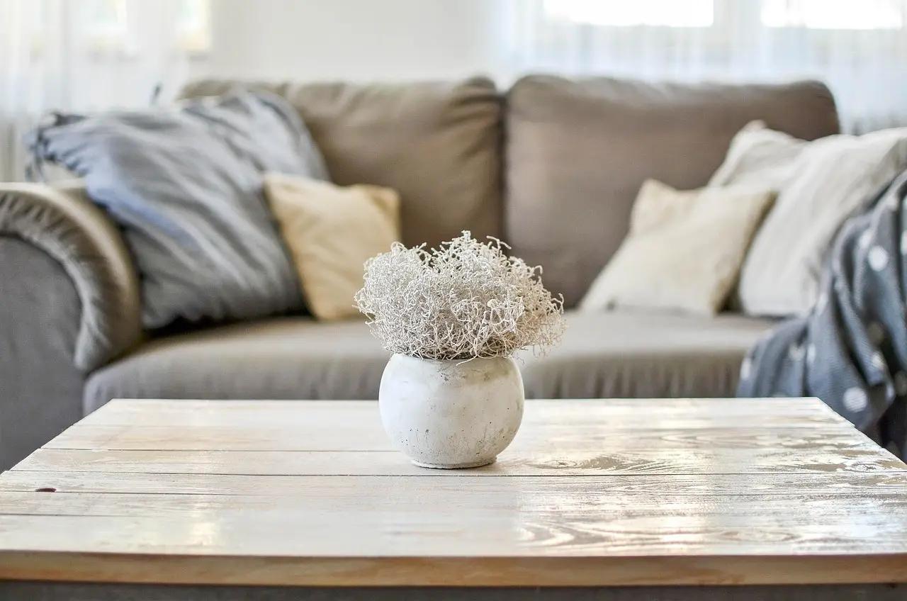 Commercial sofa cleaner vs homemade cleaner: the core trade-off