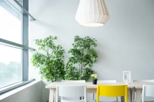 Dining Chair vs Side Chair: Key Differences for Rooms