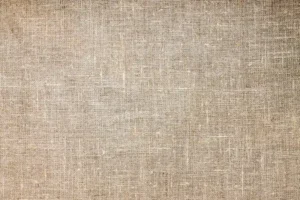Eureka NEC280TL Review: Worth It for Upholstery?