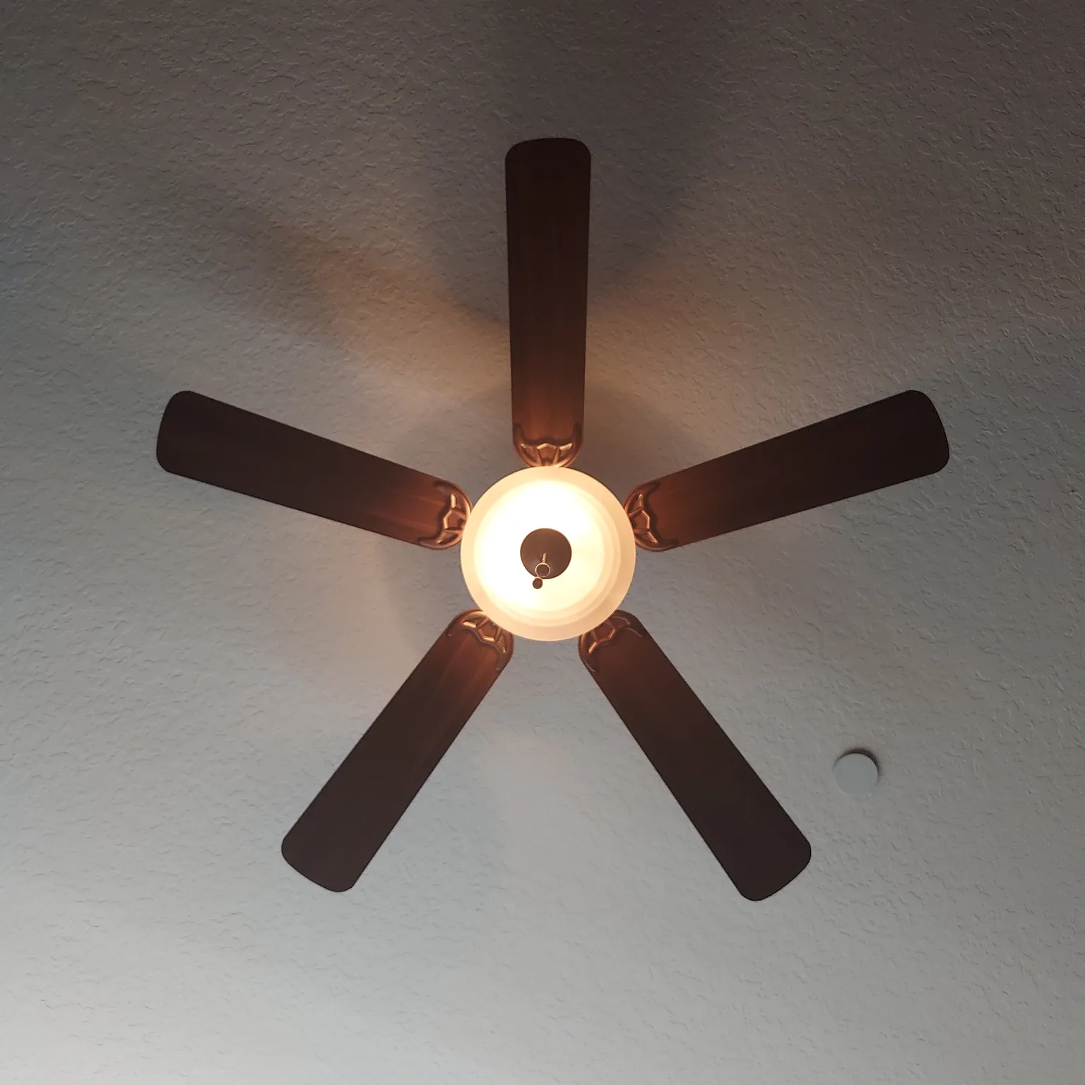 Ceiling fan remote and wall control mounted beside a modern fan on a clean wall