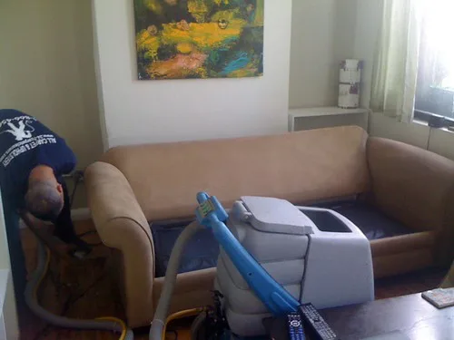 A handheld Shark Steam Pocket steamer cleaning one sofa cushion in a naturally lit living room