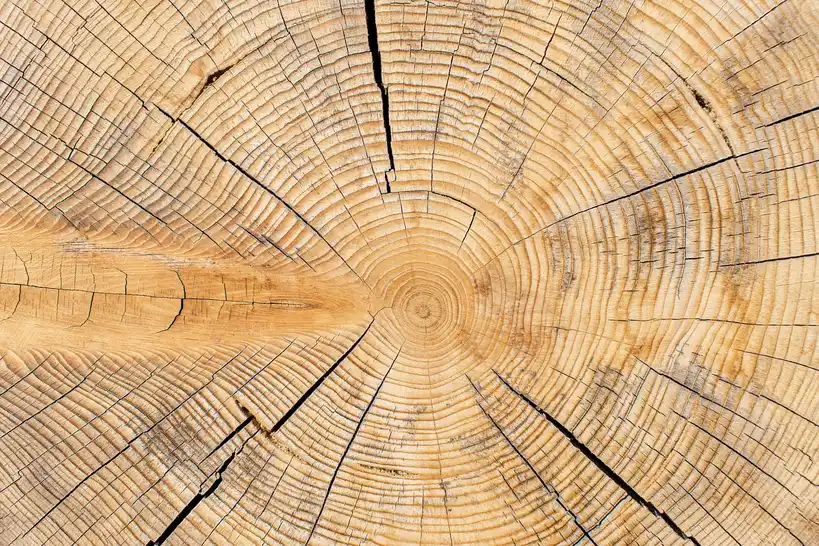 How do you know if a dresser is solid wood?