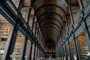 Tall Bookshelf vs Low Bookshelf: Which Size Fits Best