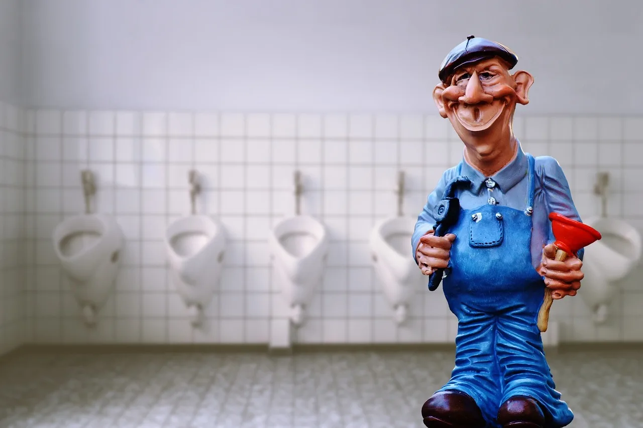 Which toilet type fits your budget?