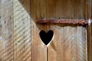 Can You Use Vaseline on Door Hinges?