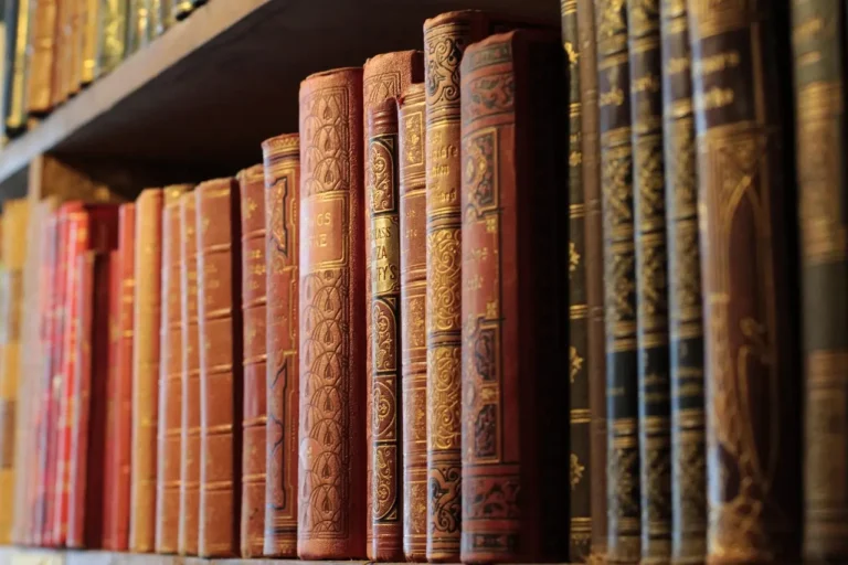 A Wayfair bookshelf anchored beside a sofa in a bright living room with books and decor on the shelves.