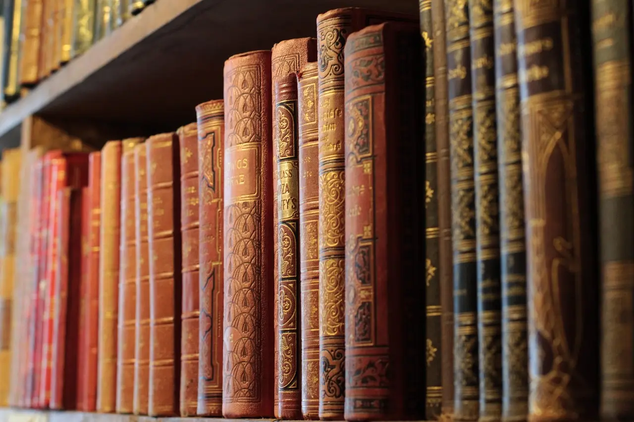 A Wayfair bookshelf anchored beside a sofa in a bright living room with books and decor on the shelves.